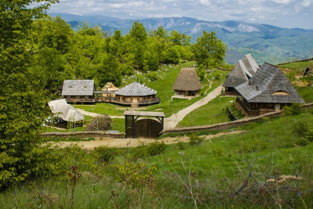 Raven'S Nest Salciua de Jos Bagian luar foto