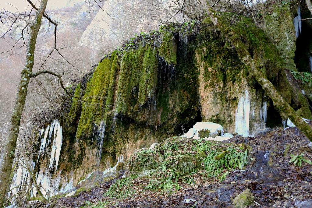 Raven'S Nest Salciua de Jos Bagian luar foto